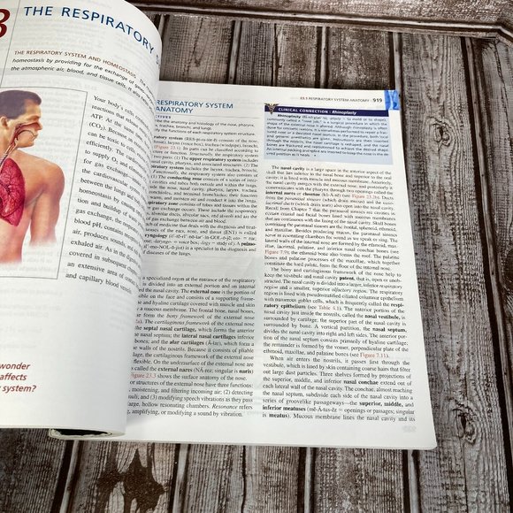 Principles of Anatomy & Physiology 13th Ed. Volume 2 Tortora Derrickson 2011 - Picture 3 of 4